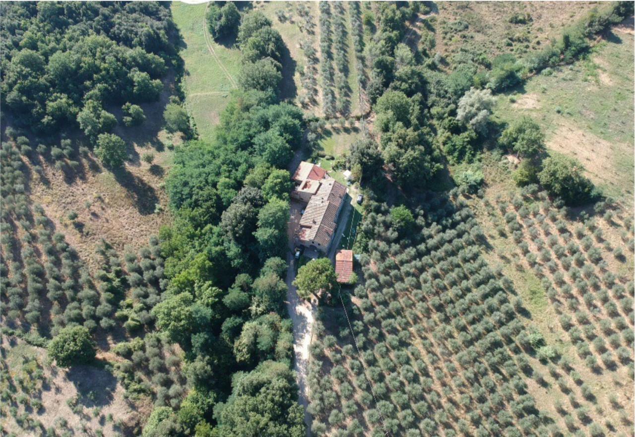 Agriturismo Fattoria Celle 필리네발다르노 외부 사진