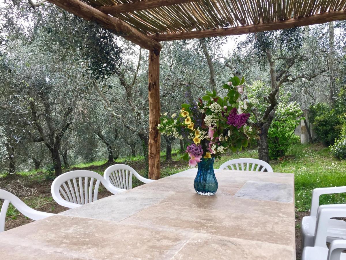 Agriturismo Fattoria Celle 필리네발다르노 외부 사진
