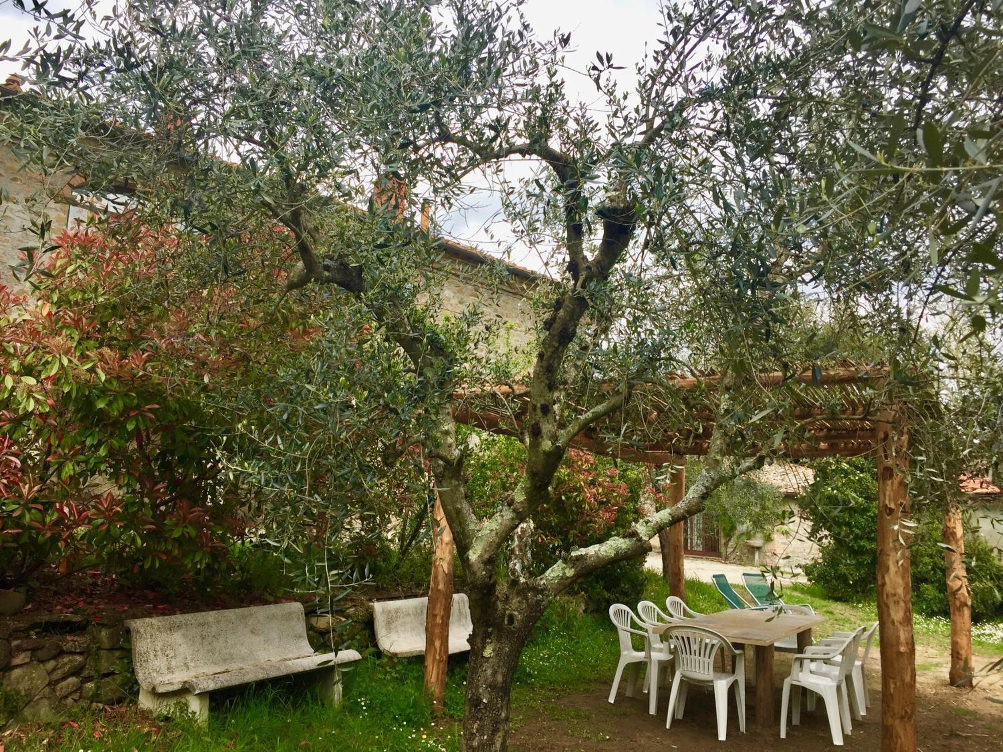 Agriturismo Fattoria Celle 필리네발다르노 객실 사진