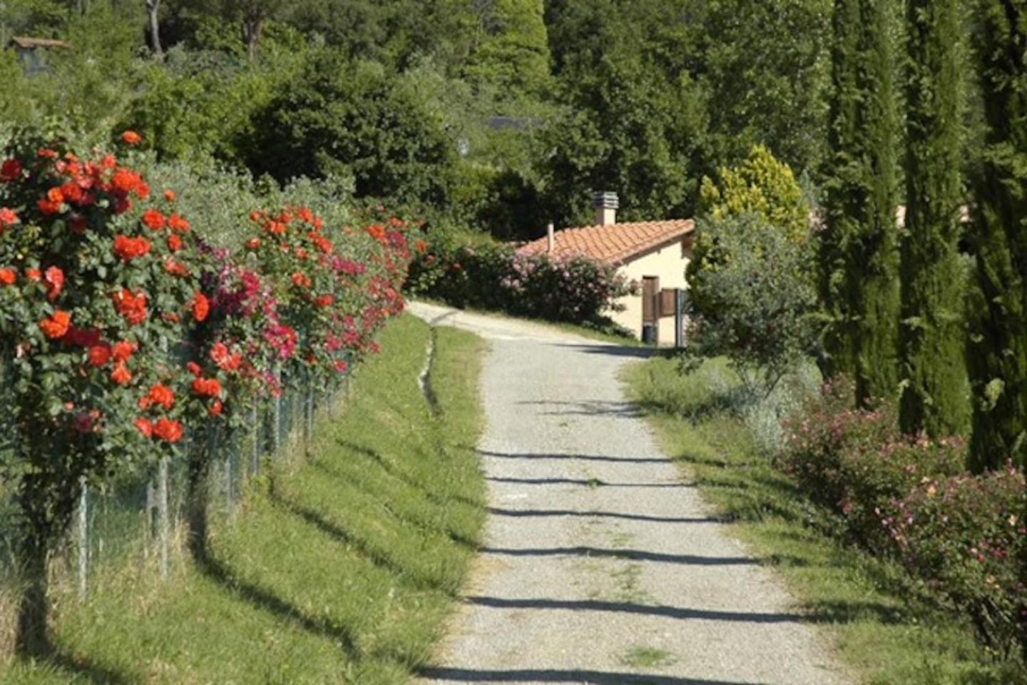 Agriturismo Fattoria Celle 필리네발다르노 객실 사진
